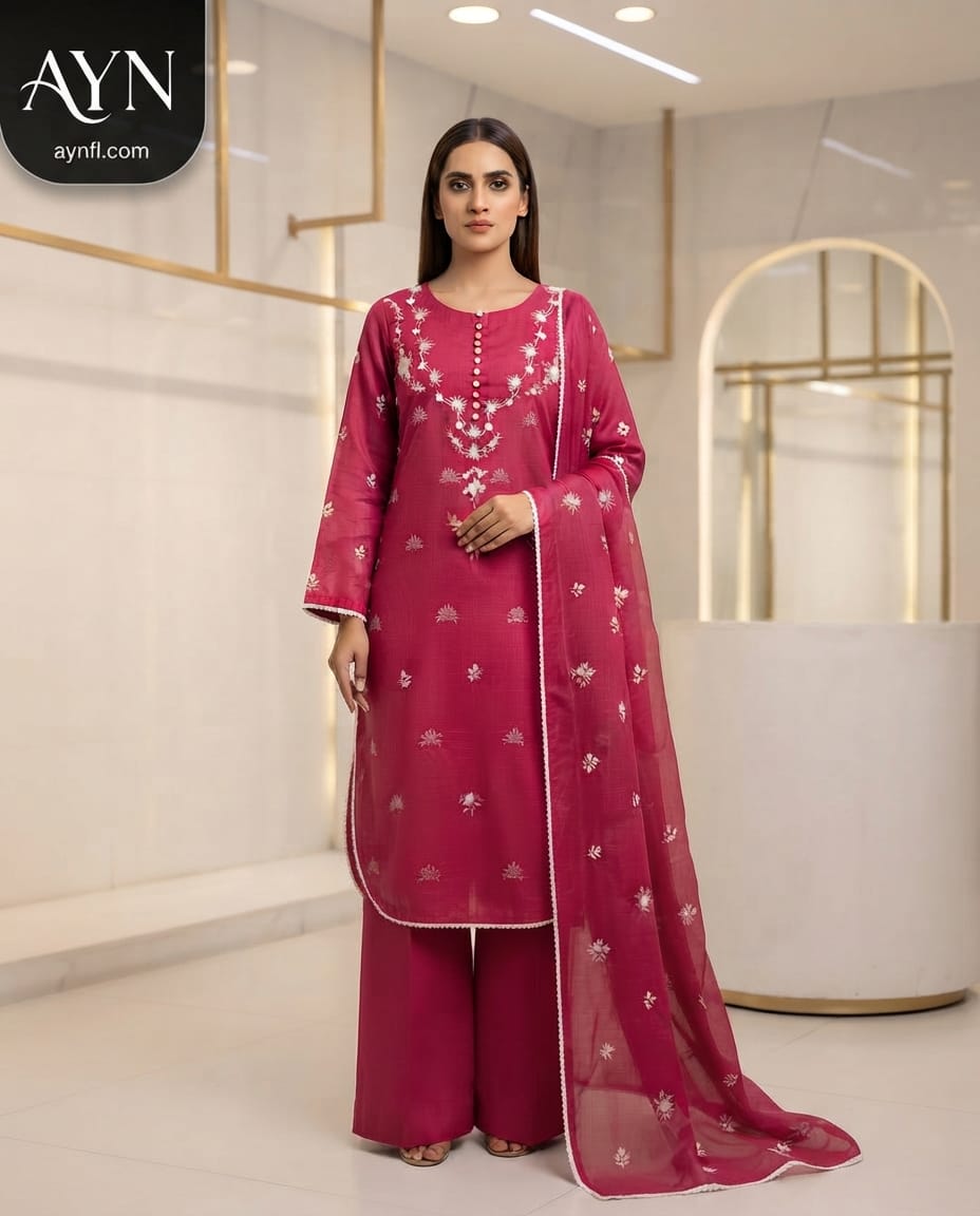 3Pcs Fancy Suit By AYN